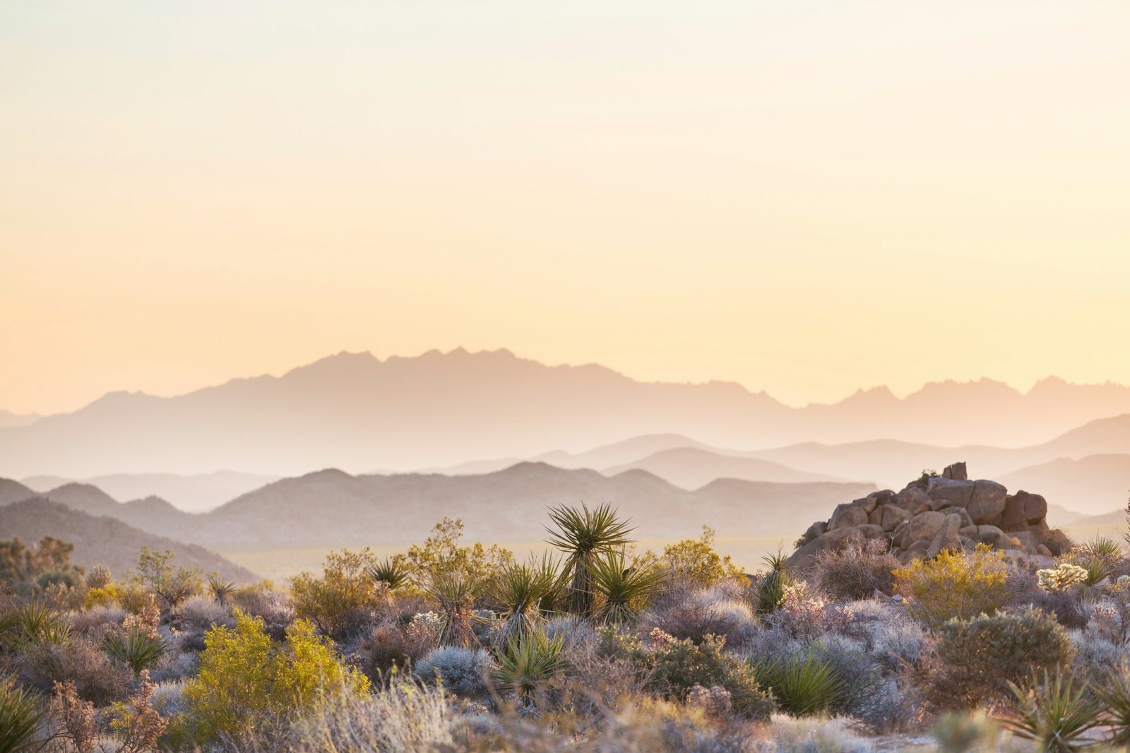 Arizona landscapes